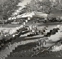 Pioneer Park - Hotel WA