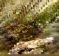 Sandy Creek Track - Hotel WA