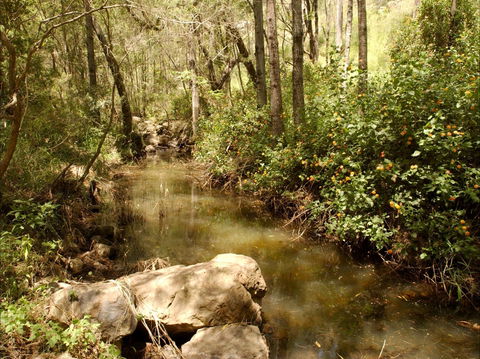 Sandy Creek Track - Hotel WA 0