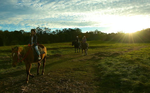 Scenic NSW Horse Riding Centre - Hotel WA 0