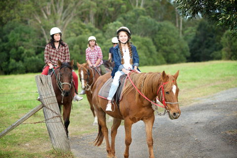 Scenic NSW Horse Riding Centre - Hotel WA 2