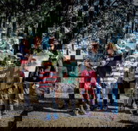 State Forests of the Watagan Mountains - Hotel WA