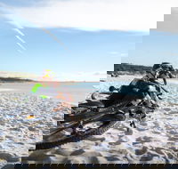 St Helens Mountain Bike Trails - Hotel WA