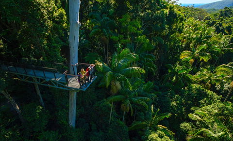 Tamborine Rainforest Skywalk - Hotel WA 0