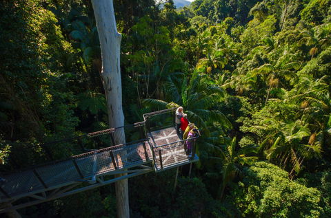 Tamborine Rainforest Skywalk - Hotel WA 1