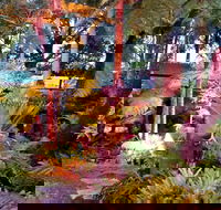 The Fernery at Diamond Waters