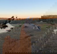 The Llama Farm - Hotel WA