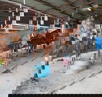 The Equine Club - Hotel WA