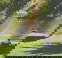 The Lions Junction Park - Tumut - Hotel WA