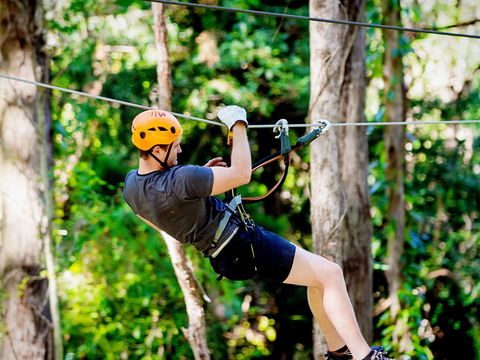 TreeTop Challenge Currumbin Wildlife Sanctuary - Hotel WA 0