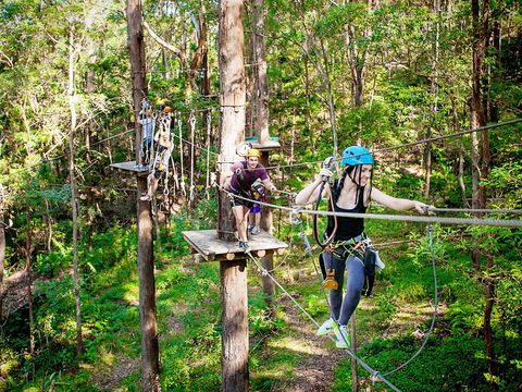 TreeTop Challenge Currumbin Wildlife Sanctuary - Hotel WA 1