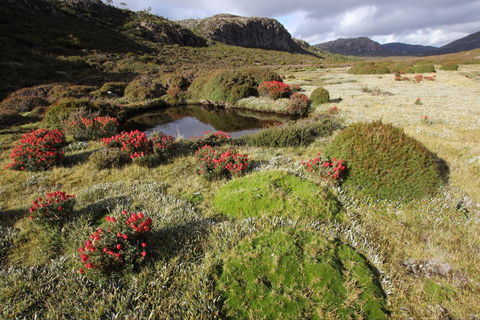 Walls Of Jerusalem National Park - Hotel WA 1