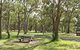 Wollomombi Gorge And Falls Picnic Area - thumb 0
