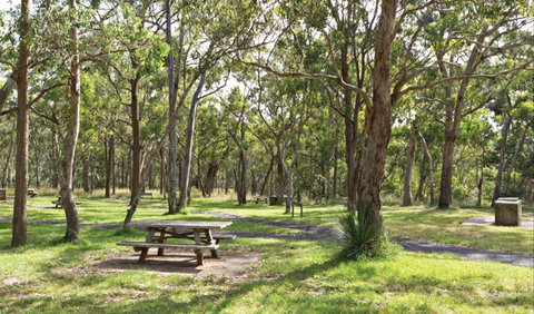 Wollomombi Gorge And Falls Picnic Area - Hotel WA 0