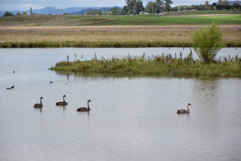 Beardy Waters Dam And Woodlands - Hotel WA 0
