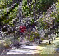 Forest Path Crooked Brook - Hotel WA