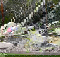 Maroochy Regional Bushland Botanic Garden - Hotel WA