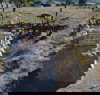 Wangaraleednie Monument  Ruins - Hotel WA