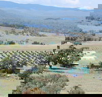 Truffle Hunt and Luncheon - Hotel WA