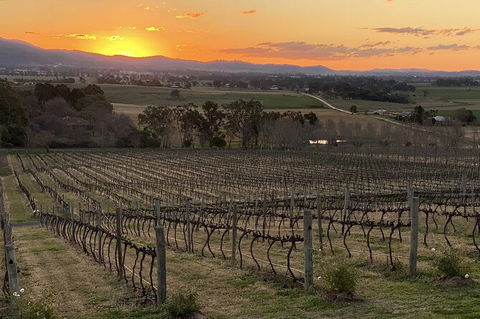 Mudgee 2 Day Private Wine Tasting And Sightseeing Tour From Sydney - Hotel WA 15