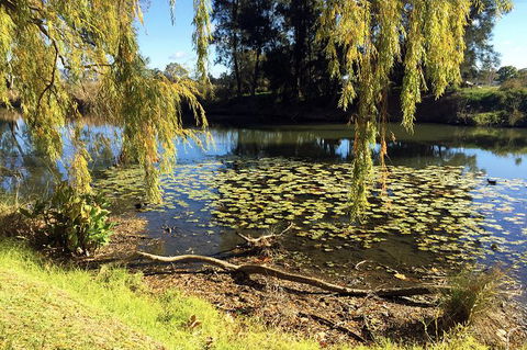 Mudgee 2 Day Private Wine Tasting And Sightseeing Tour From Sydney - Hotel WA 17