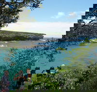 Private Luxury Sydney's Royal National Park Full Day Tour - Hotel WA