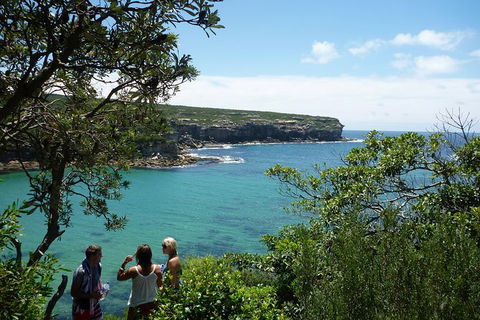 Private Luxury Sydney\'s Royal National Park Full Day Tour - Hotel WA 0