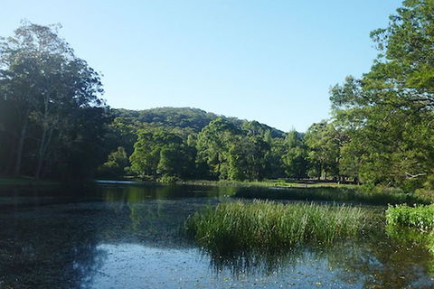 Private Luxury Sydney\'s Royal National Park Full Day Tour - Hotel WA 4