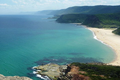 Private Luxury Sydney\'s Royal National Park Full Day Tour - Hotel WA 2