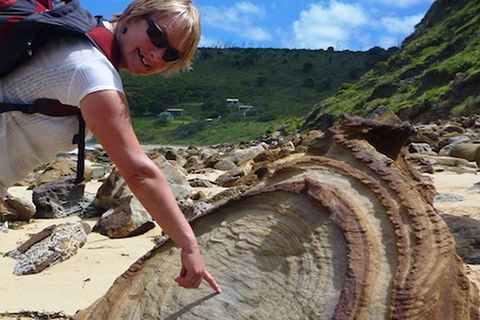 Private Luxury Sydney\'s Royal National Park Full Day Tour - Hotel WA 1