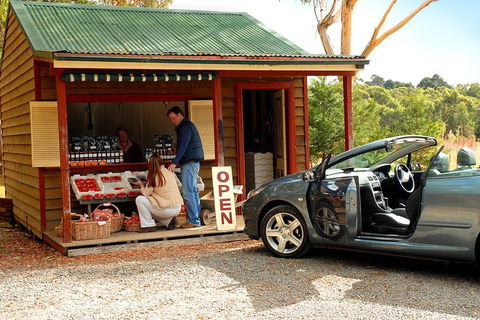 Private Luxury Southern Highlands Full Day Trip - Hotel WA 4