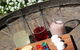 Hunter Valley All-Inclusive Small Group Tour - thumb 3