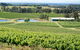 Hunter Valley All-Inclusive Small Group Tour - thumb 2