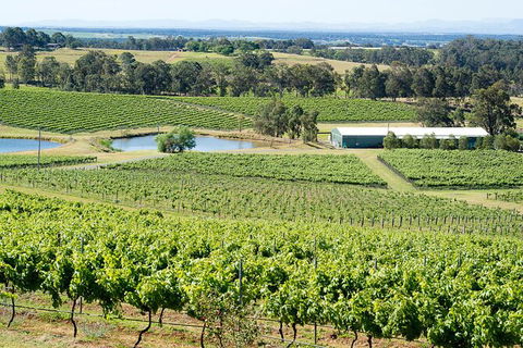 Hunter Valley All-Inclusive Small Group Tour - Hotel WA 2