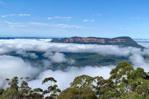 Small Group Blue Mountain Tour With A Local Guide - Hotel WA 4