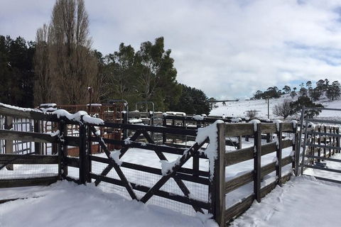 Paddock To Plate Farm Tour And Tasting - Hotel WA 11