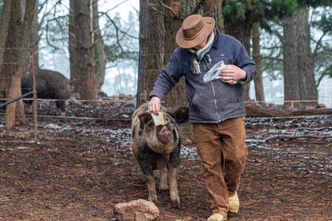 Paddock To Plate Farm Tour And Tasting - Hotel WA 5