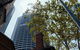 Lonely Planet: Highlights & Hidden Gems Of Sydney With A Local Guide - thumb 1
