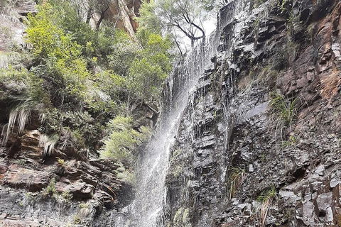 Blue Mountains Full Day Nature Tour For Four - Hotel WA 1