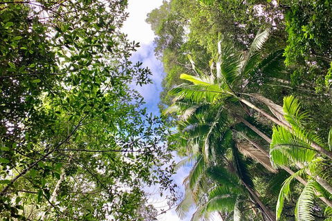 Guided E Bike Tour - Unicorn Falls & National Park - Hotel WA 5