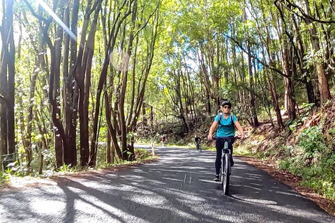 Guided E Bike Tour - Unicorn Falls & National Park - Hotel WA 16