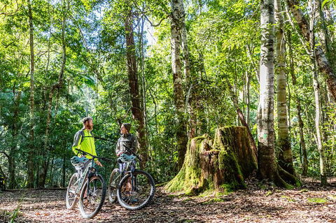 Guided E Bike Tour - Unicorn Falls & National Park - Hotel WA 14