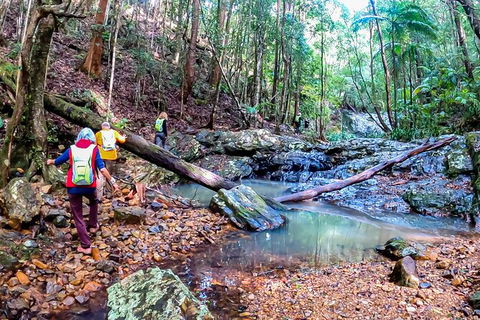 Guided E Bike Tour - Unicorn Falls & National Park - Hotel WA 17