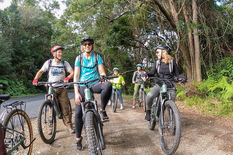 Guided E Bike Tour - Unicorn Falls & National Park - Hotel WA 11