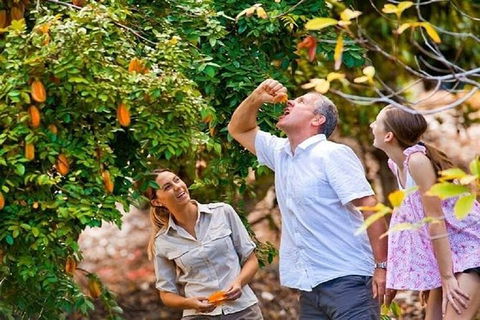 Full-Day Guided Tour Byron Bay With Pickup - Hotel WA 1