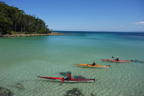 Half-Day Jervis Bay Sea Kayak Tour - Hotel WA 3