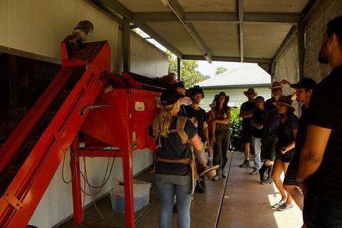 Pecan Farm Tour And Workshop, Byron Bay Hinterland - Hotel WA 4