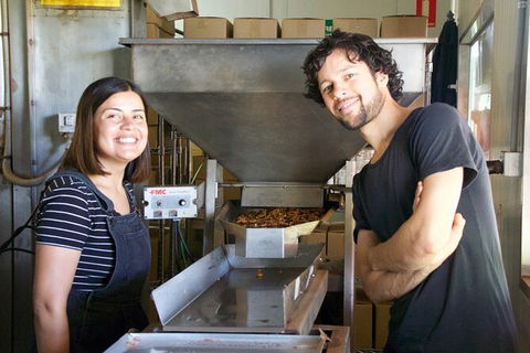 Pecan Farm Tour And Workshop, Byron Bay Hinterland - Hotel WA 7