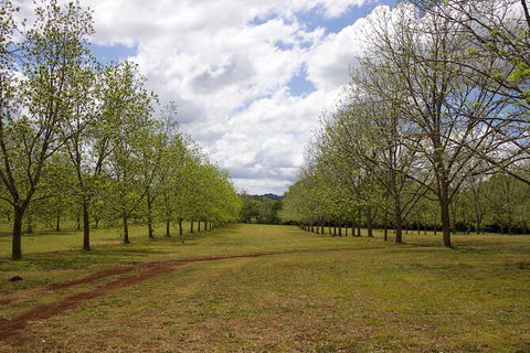 Pecan Farm Tour And Workshop, Byron Bay Hinterland - Hotel WA 6