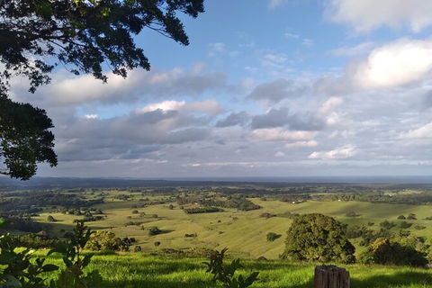Pecan Farm Tour And Workshop, Byron Bay Hinterland - Hotel WA 1